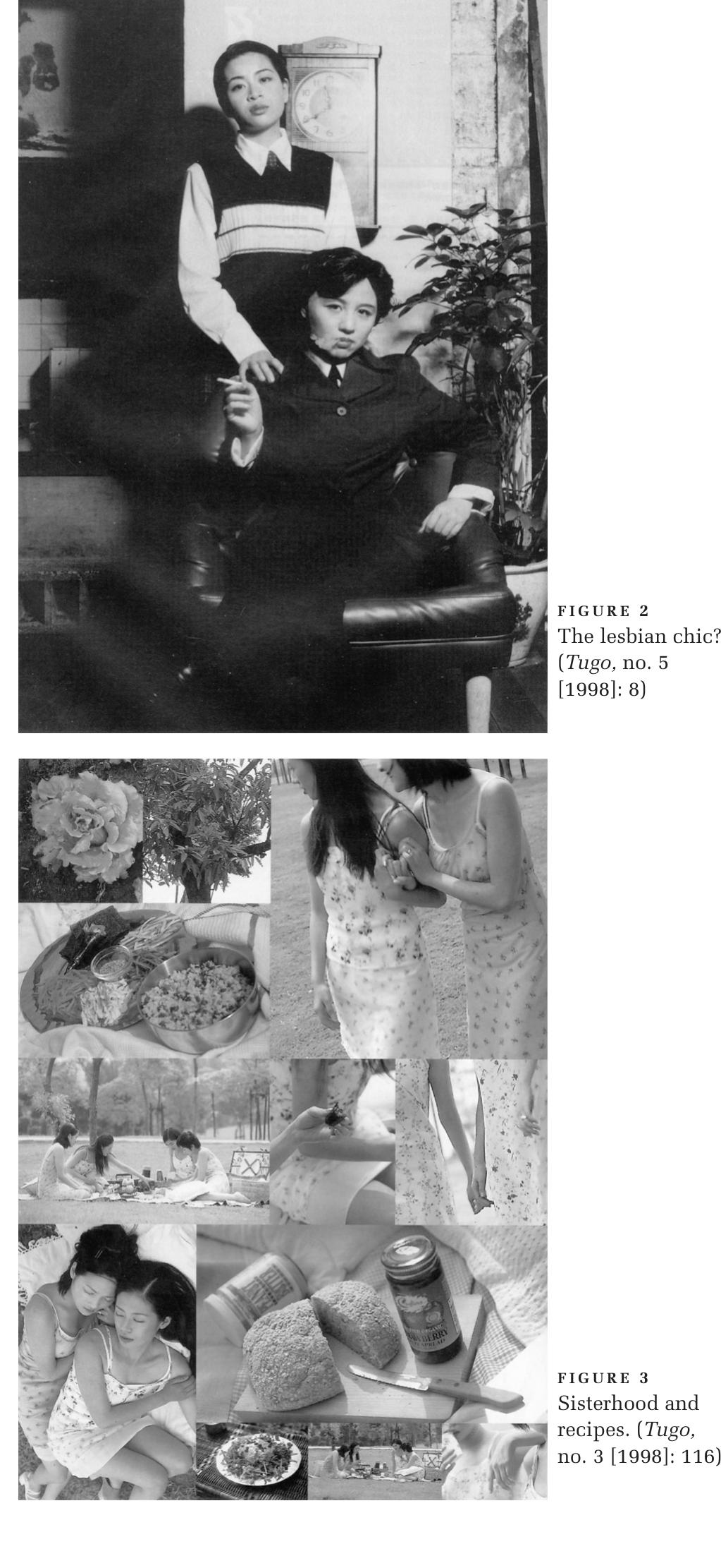 洋書 Chinese Lesbian Cinema 洋書 Chinese Lesbian Cinema Amazon.co