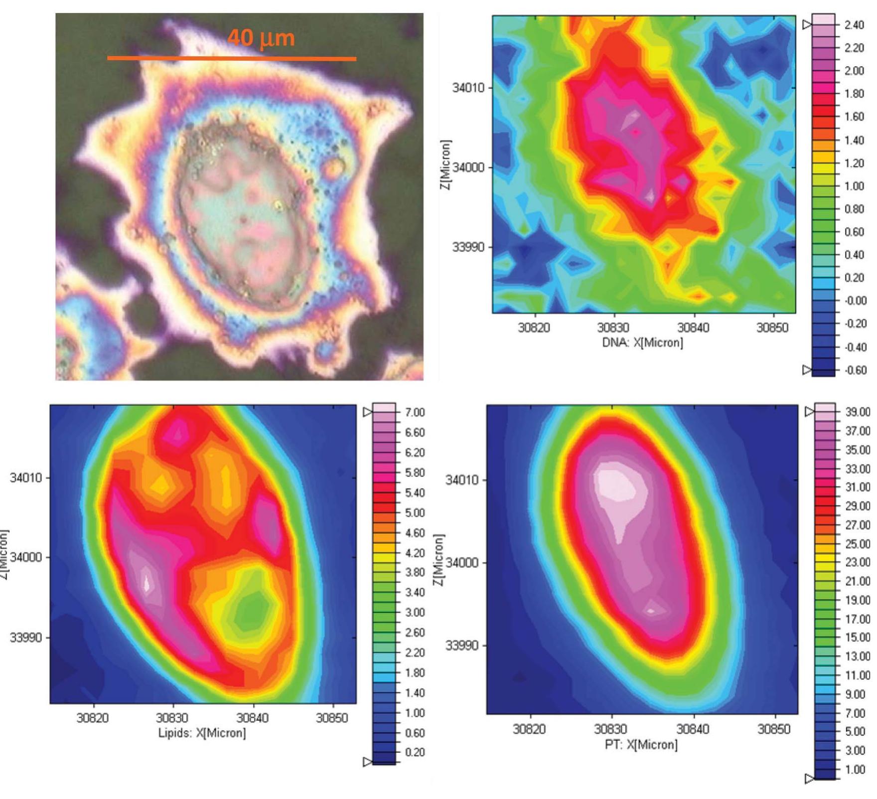 Ir Mapping Microscope Diagram of the ir microspectroscopy miriam beamline,