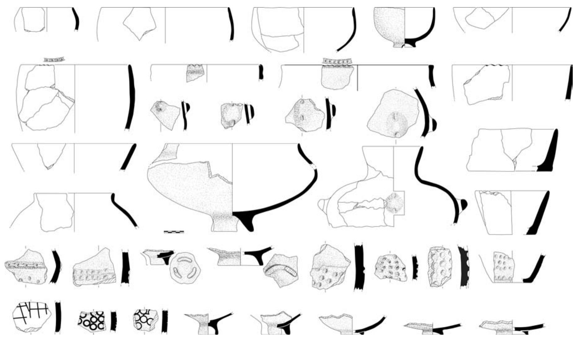 site threatened by motorway construction was excavated in 2014-2015 (fig. 7), revealing 