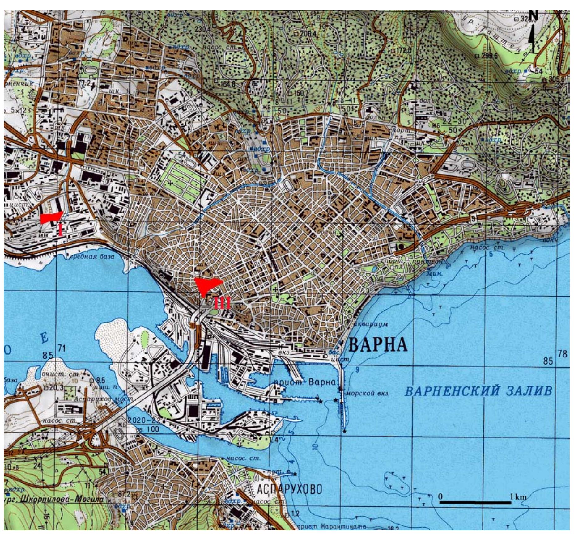 contained imported objects or objects made from imported materials — copper, gold, obsid- ian, and ‘Dentalium’® (scaphopod) and Spondylus shell. Only five burials were unaccompa- nied by grave goods. (Slavchev 2010). Forty-seven graves in the Varna I cemetery contained ‘burial goods’ but no human remains, and were interpreted as cenotaphs — symbolic burials of members of the community who died elsewhere. Grave 41 — a roughly rectangular pit 2.70 m long, 1.20 m wide and 2.36-2.80 m deep — was a particularly ‘rich’ cenotaph (fig. 11). Within it were over a hundred gold objects, beads made of minerals (carnelian and serpen- tinite) and Spondylus shell, marble utensils, a flat bone figurine, an unusually large number (4573) of ‘Dentalium’ shells, and a single obsidian blade (fig. 12).  The “Varna TIT’ Gnd camnriced cavaral ahiecte mada af cnnner (9 chafthoale aveae a 