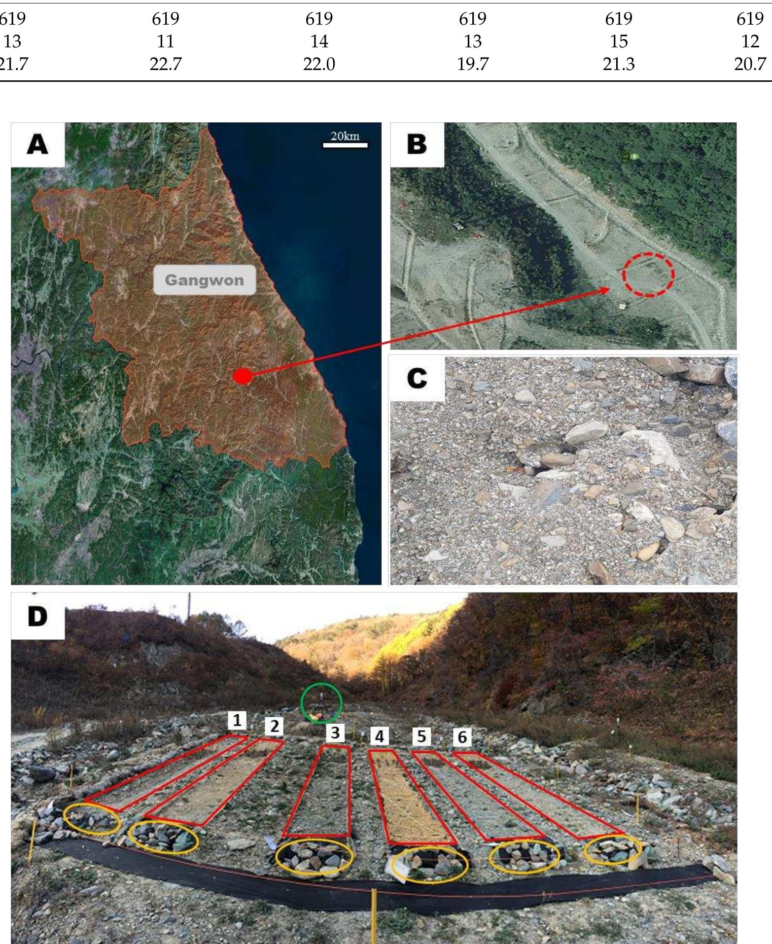 (PDF) Evaluation of Soil Loss Tolerance and Tree Growth Features Based ...