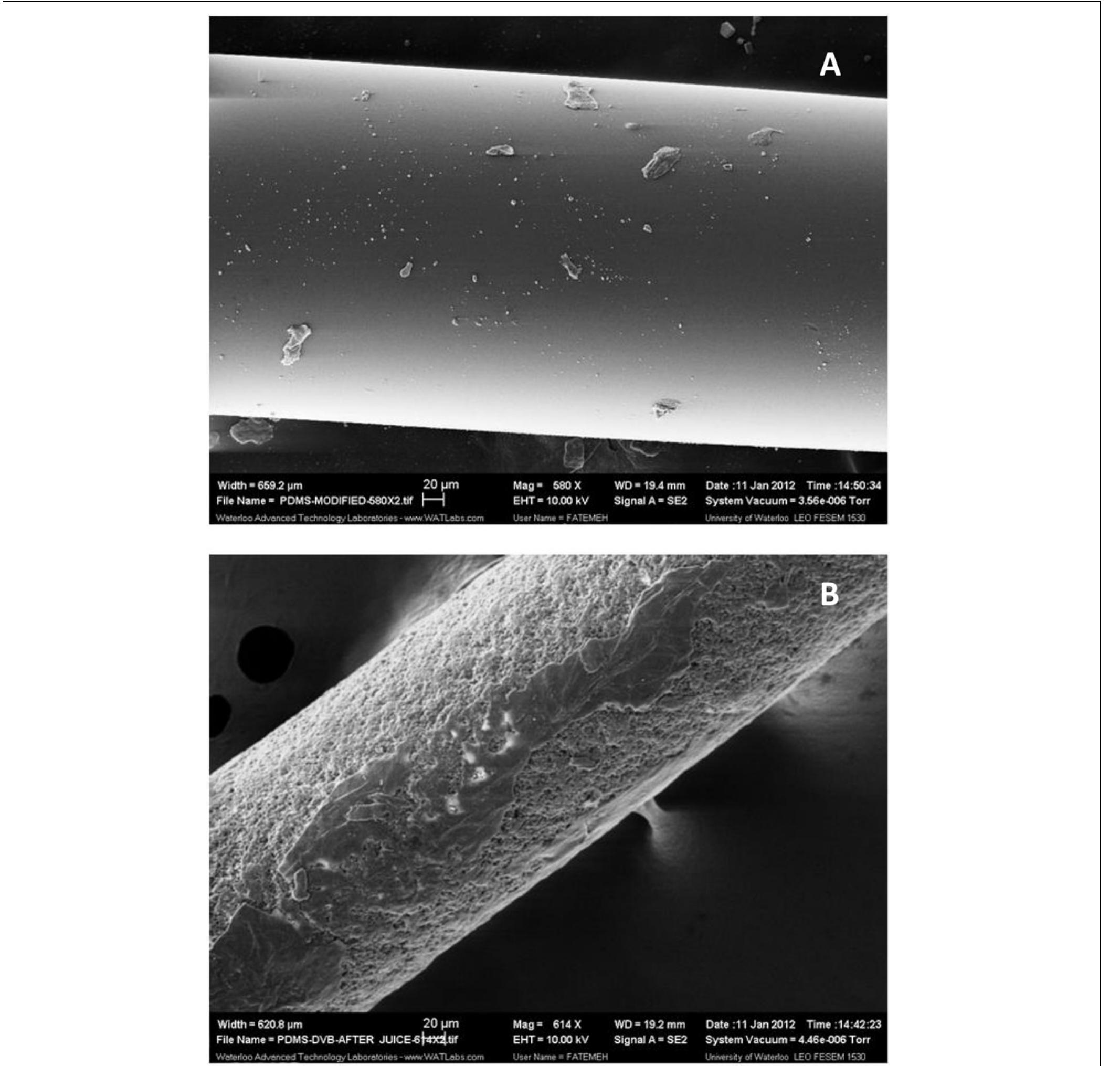 Figure 1. SEM images: (A) PDMS-modified coating after over 100 extraction cycles in grape-pulp matrix; and, (B) PDMS/DVB coating after 20 extraction cycles in grapes. Surface morphology using 580x magnification. DI-SPME conditions: 9 g of grape pulp, 15 min extraction at 30°C, 7 min desorption at 260°C. Adapted with permission from ref [44]. Copyright 2012 American Chemical Society. 