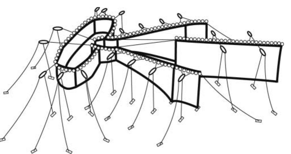 Design of a typical fixed net used to fish watasenia