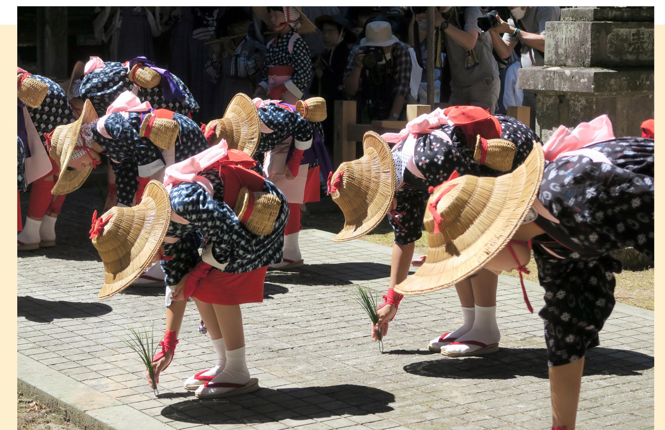 Keitoku inari shrine rice plantation festival in kitakata,