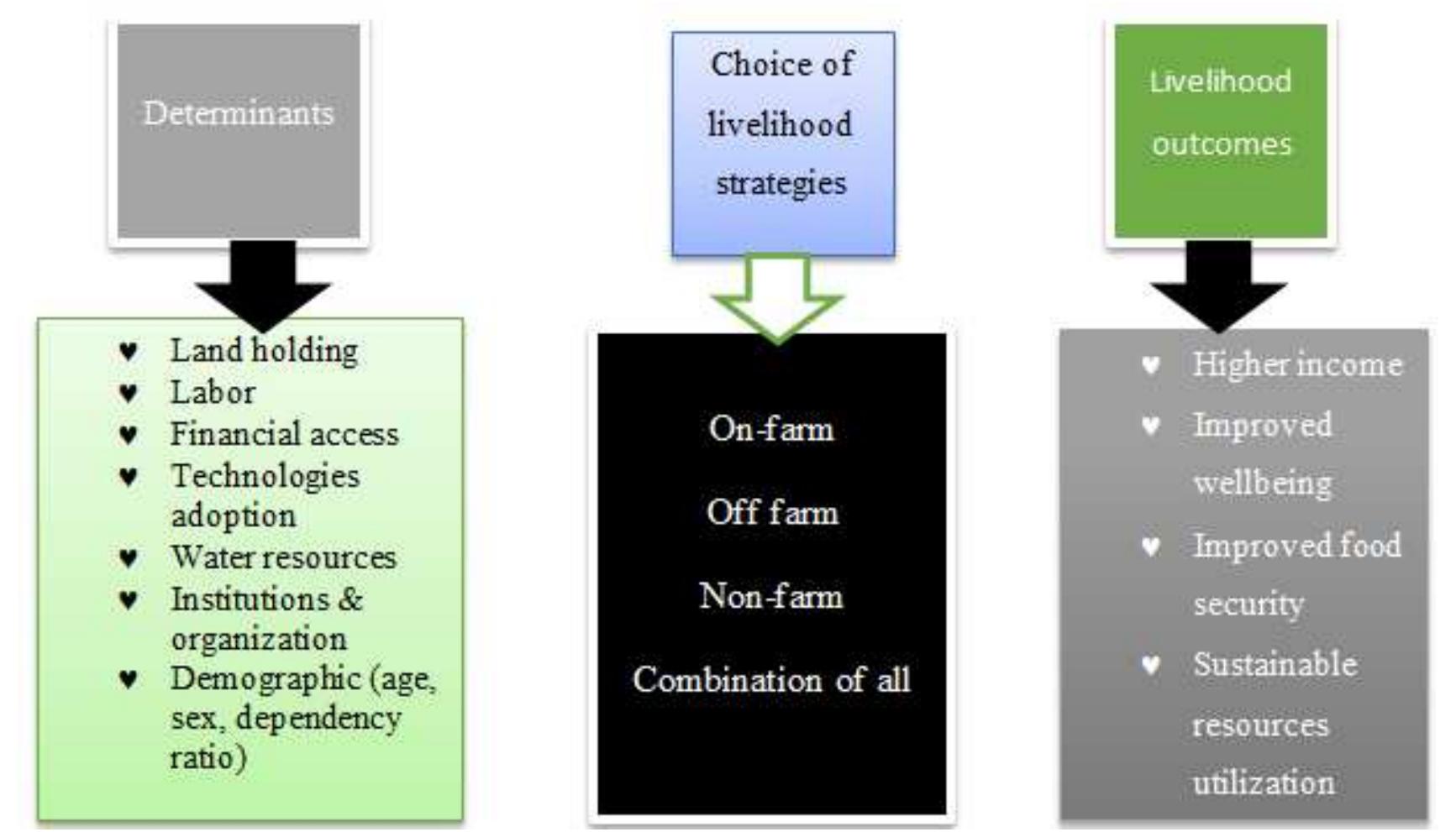 (PDF) Review on Determinants of Rural Livelihood Diversification ...