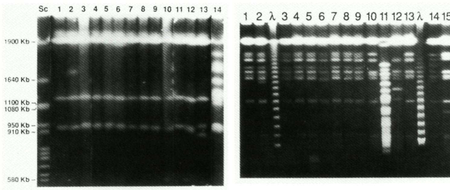 Figure 2 - from Development of a 200KEV Linear Induction