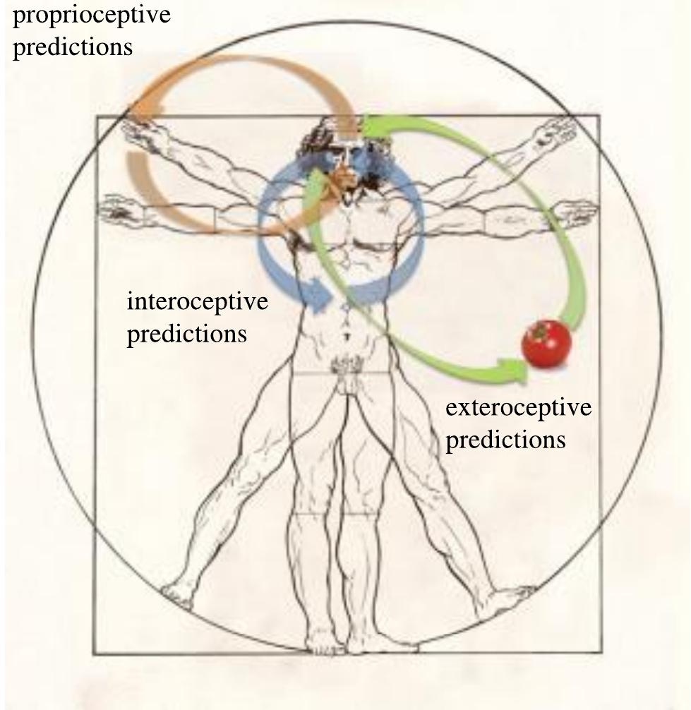 (PDF) From Unconscious Inference to the Beholder’s Share: Predictive ...