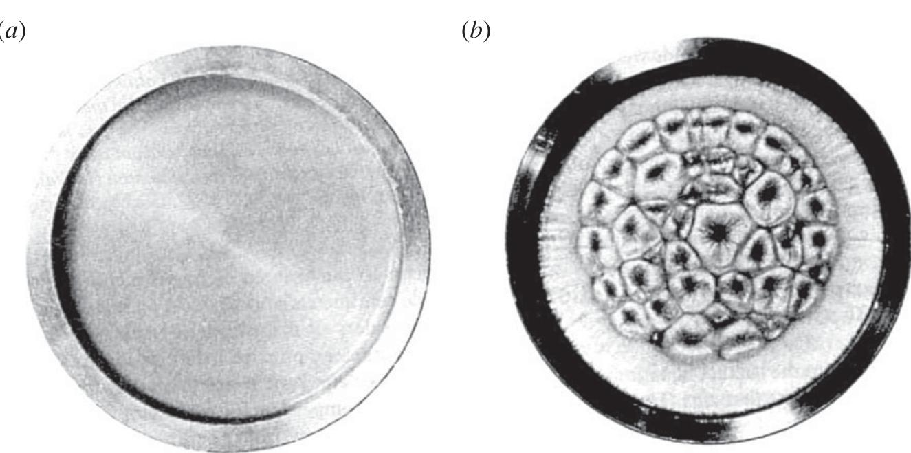(PDF) A Grand Unified Theory for the Unification of Physics, Life ...