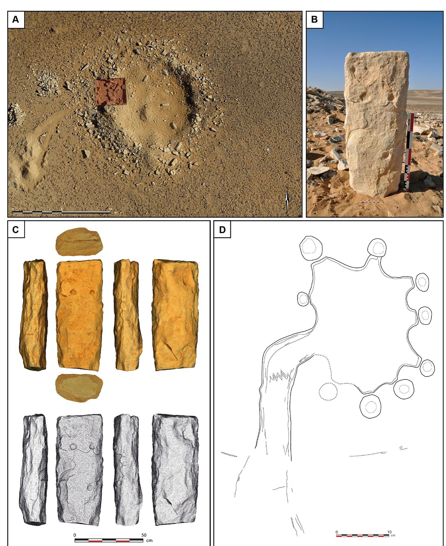 Fig 4. Discovery of the engraved stone in Jibal al-Khashabiyeh, Jordan. (A) Orthomosaic view of JKSH F15 site where the kite’s engraving was found on a monolith (in red is the location of the rescue excavation in the looter’s spoil). (B) Photograph of the engraved stone at the time of discovery at the JKSH F15 site (the monolith was found lying down and was set vertically for the photograph). (C) Photogrammetric 3D model of the engraved monolith showing the different faces, including the engraved upper face (top), while the hill-shaded model (bottom) shows the interpretative drawing of the engraved plan on the stone. (D) Drawing of a projected view of the kite representation engraved on the monolith from the JKSH F15 site. 