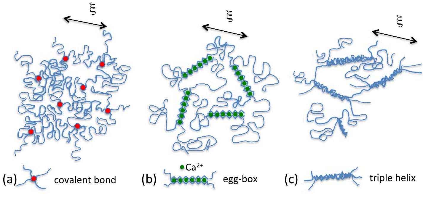 (PDF) Environmental control of crack propagation in polymer hydrogels