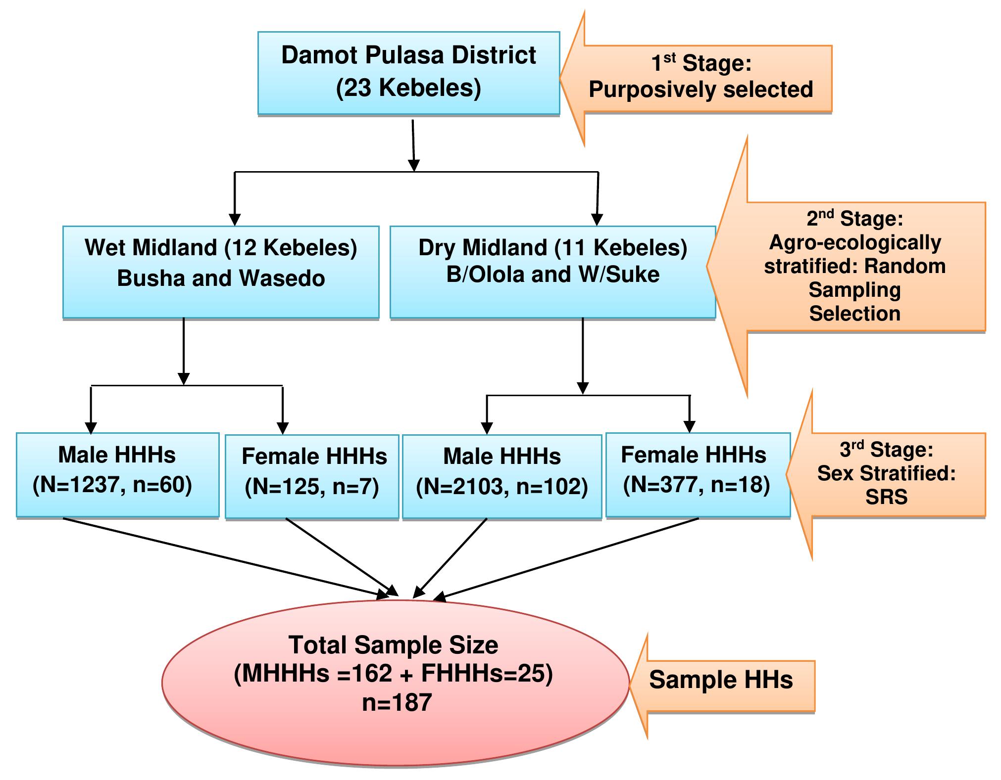 (PDF) Household Resilience to Food Insecurity in Southern Ethiopia