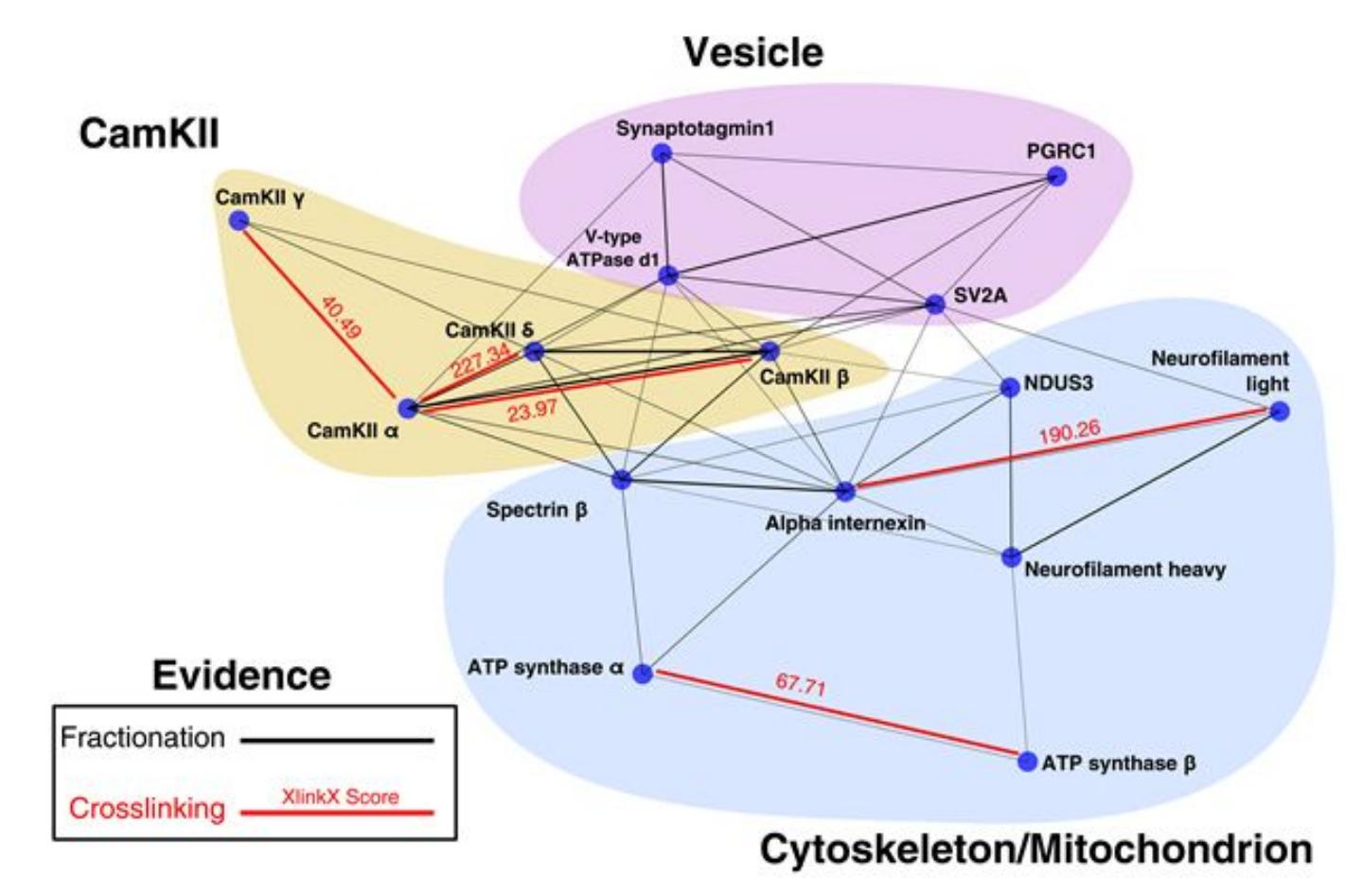 Figure 5 - Mapping Functional Protein Neighborhoods in the