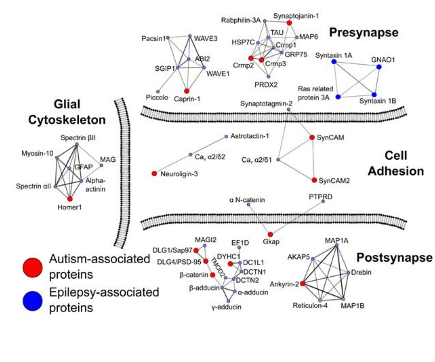 Figure 7 - Mapping Functional Protein Neighborhoods in the