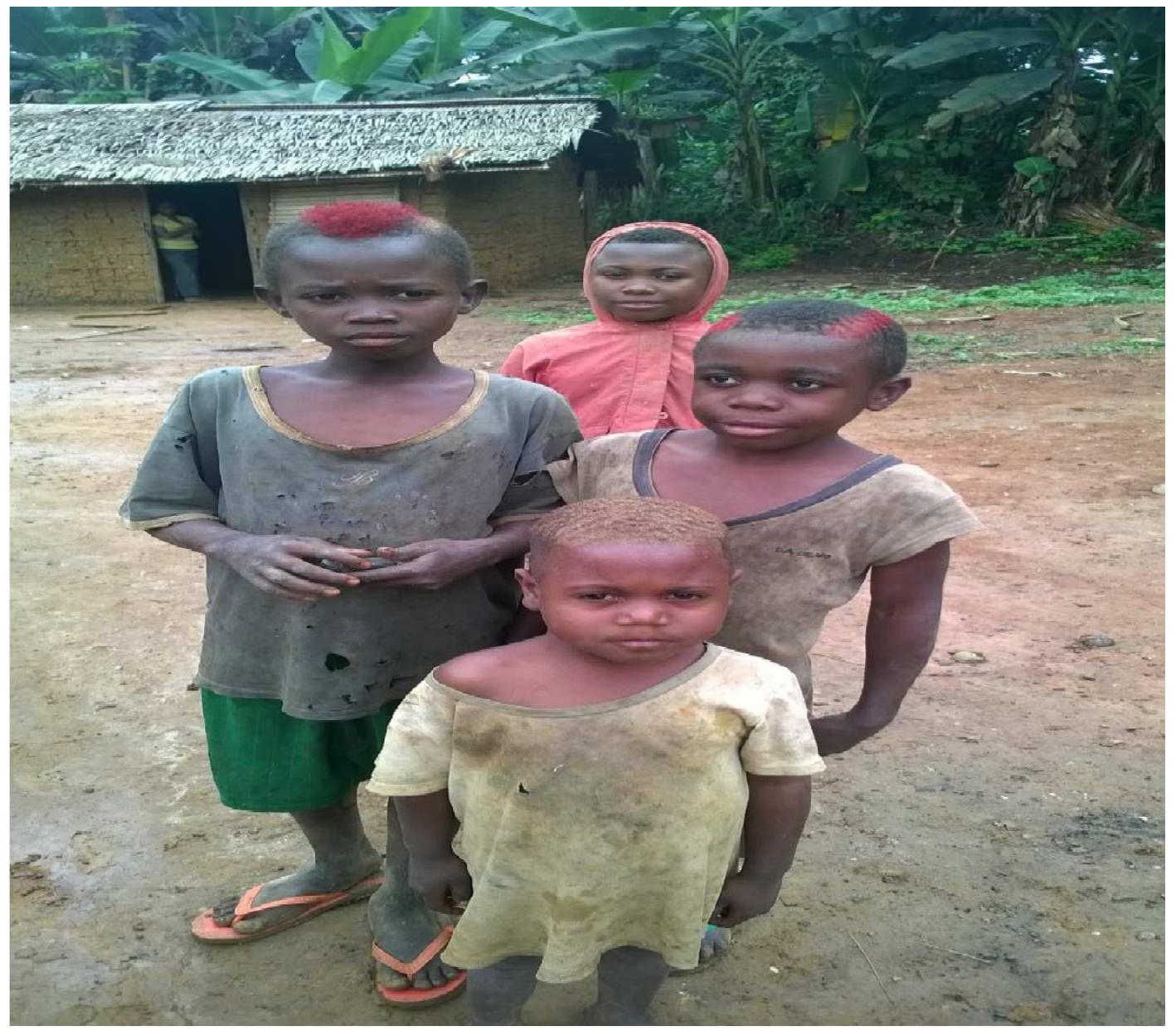 (PDF) Development Challenges Amongst the Baka People of the Eastern ...