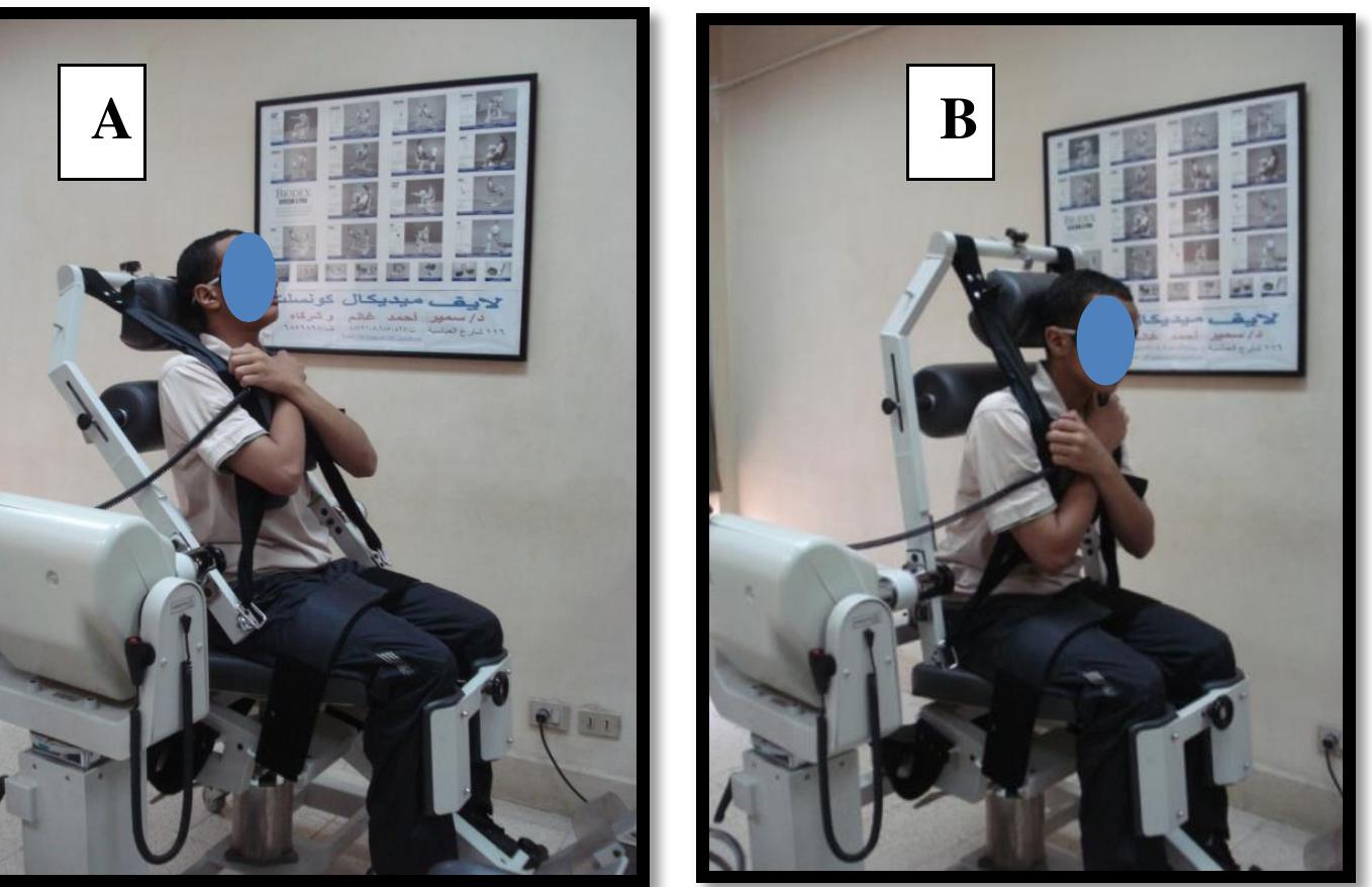 Repositioning Visual (PDF) Effect of a 6-week core stability training program on active ...