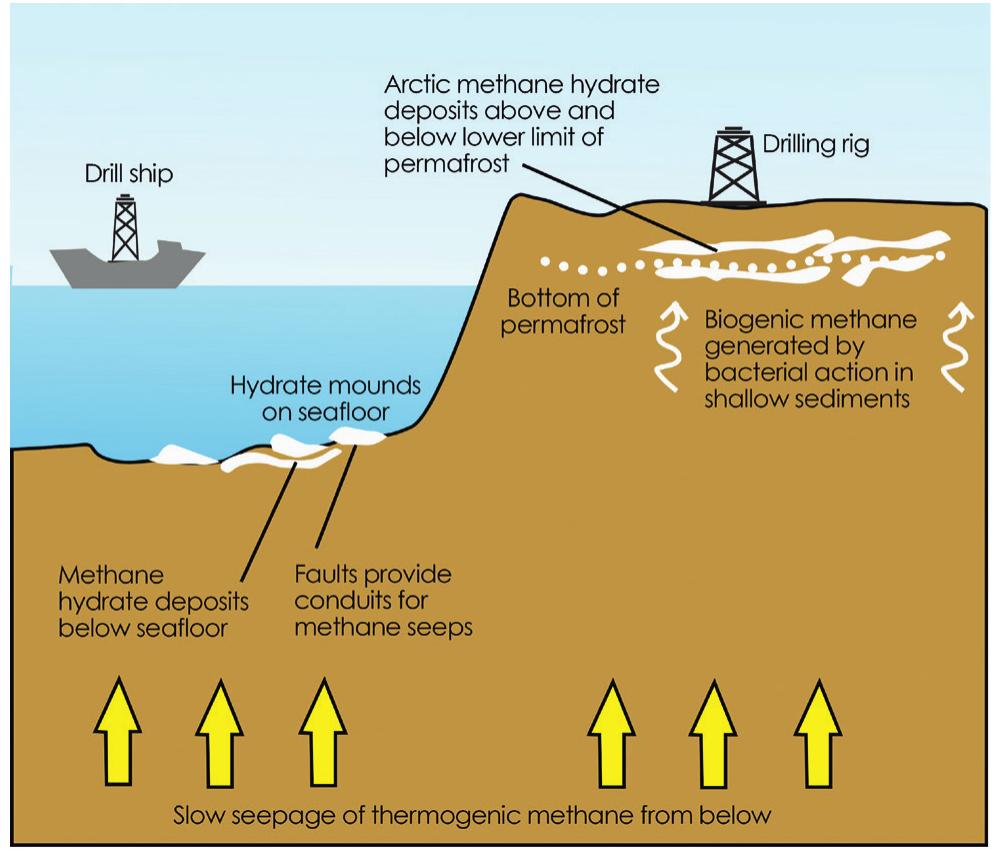 Methane Zone Figure 2 - Seismic identification and applications of