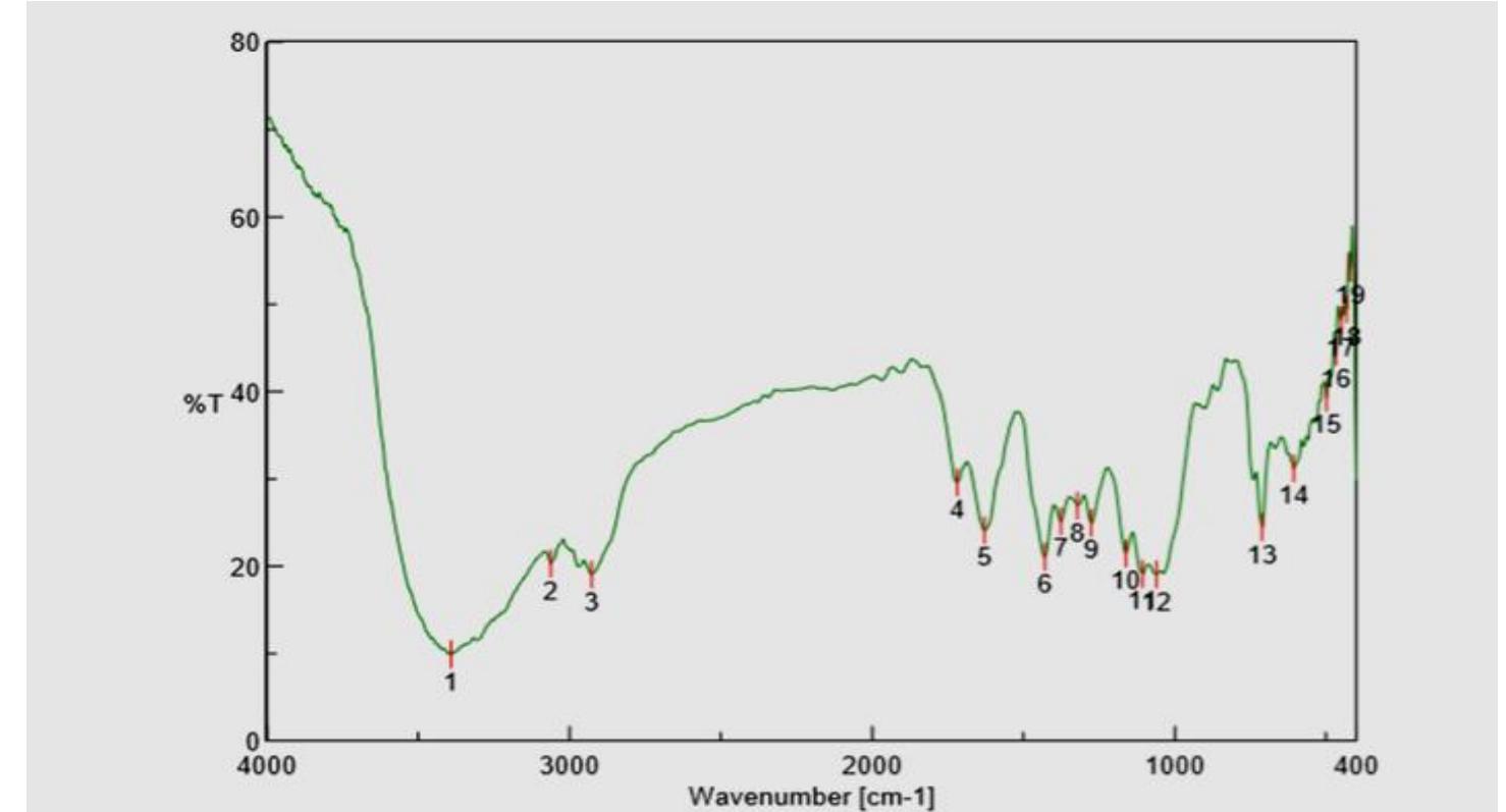 Ftir spectrum of treated sugarcane bagasse (sb-koh) before