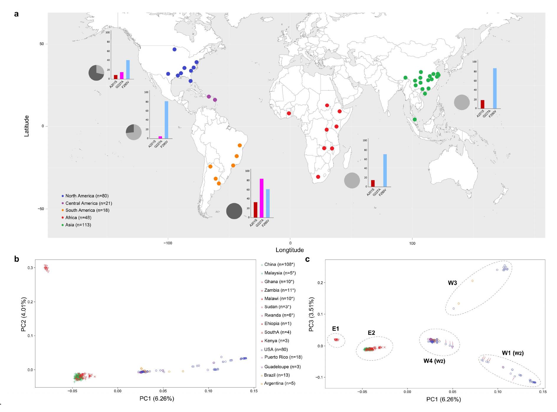 (PDF) Global genomic analysis reveals the genetic origin and secondary ...