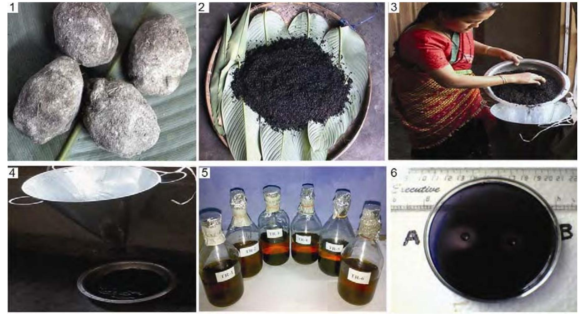 (PDF) Evaluation of nutritional and biochemical aspects of Po:ro apong ...
