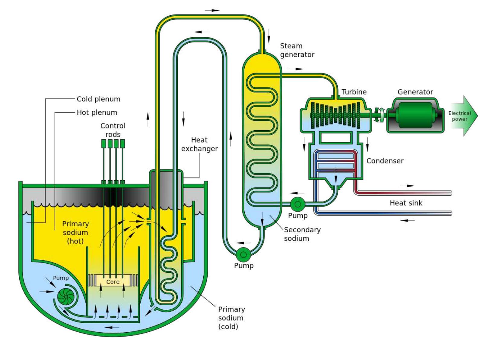 Figure 1.3: Simplified scheme of SFR with descriptions [11].  1.5 Criticality and delayed neutrons  .5.1 Neutron multiplication via chain reactio1  1.5 Criticality and delayed neutrons 