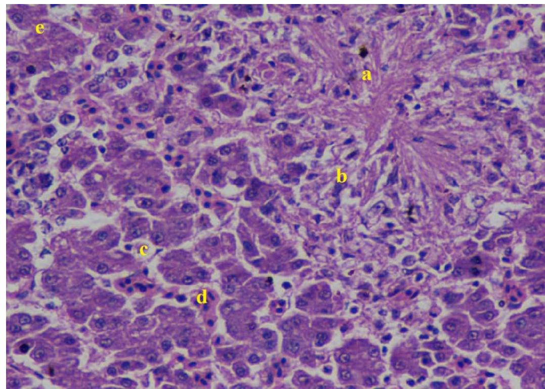 (PDF) Review - Gout In Chicken