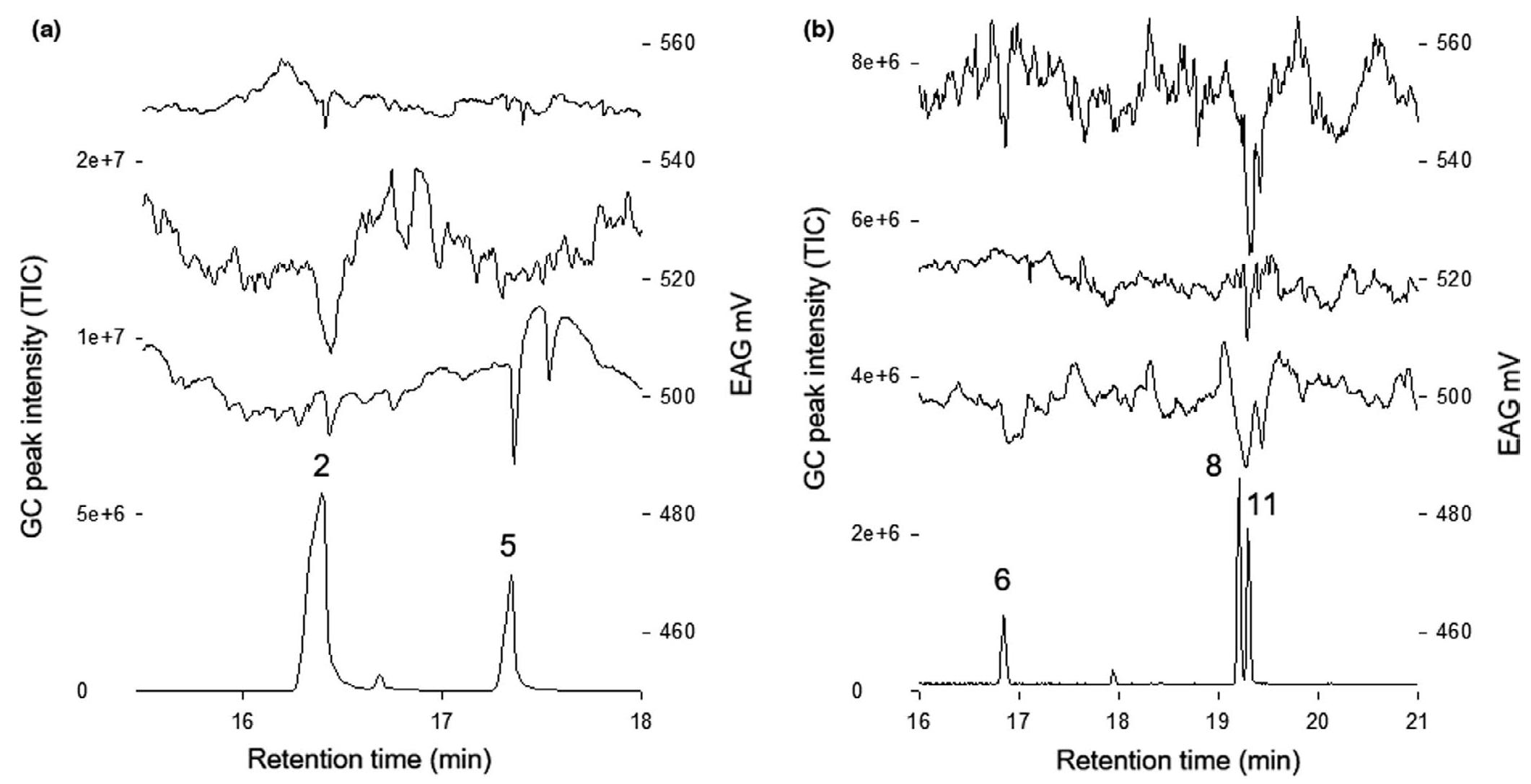(PDF) Identification of pheromone candidates for the eucalyptus weevil ...