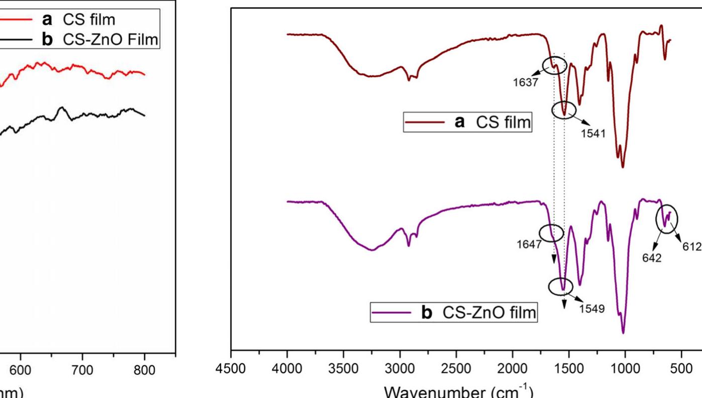 Atr-ftir spectra of (a) cs film and (b) cs-zno composite