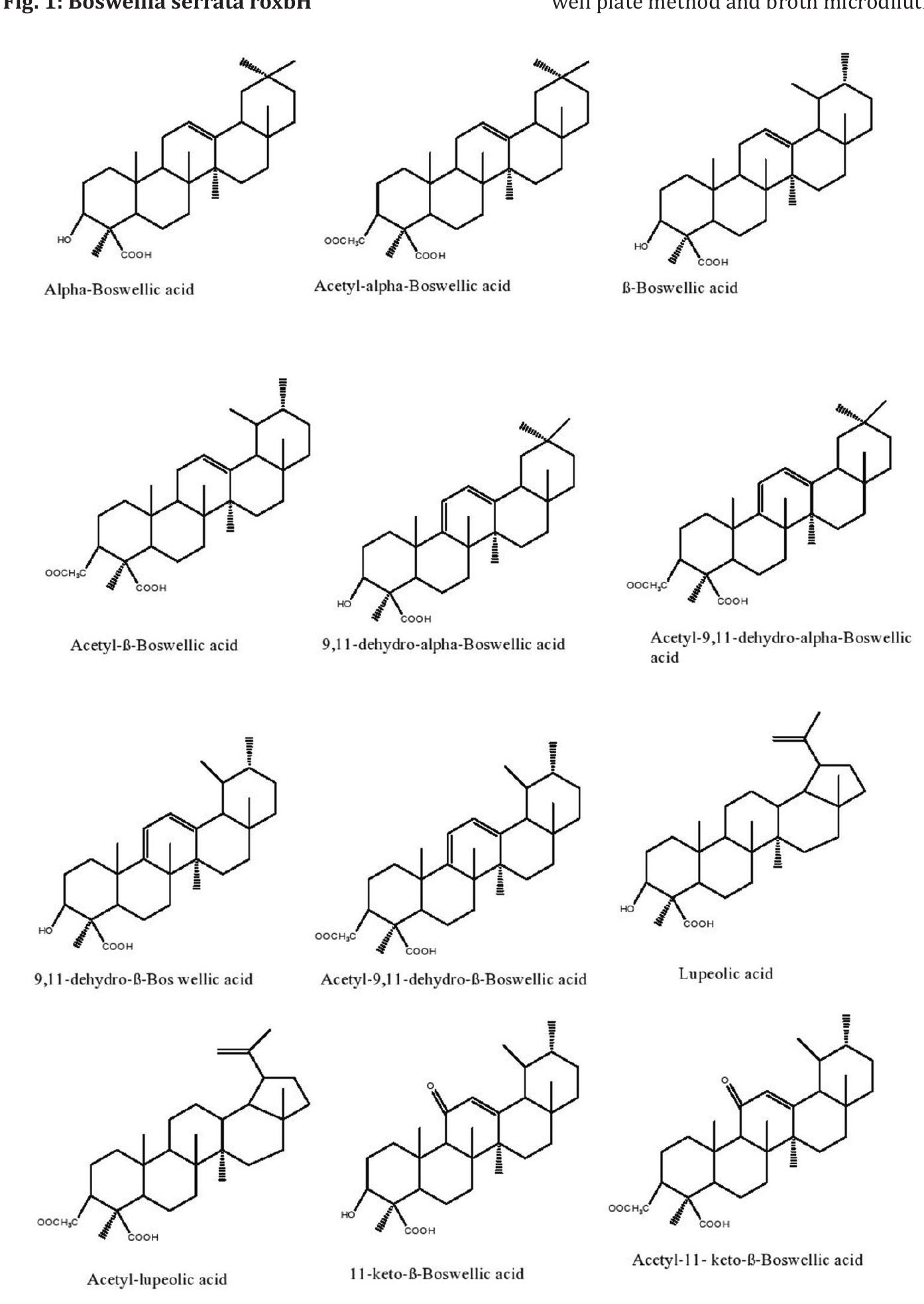 Chemical structure of various terpenic acids