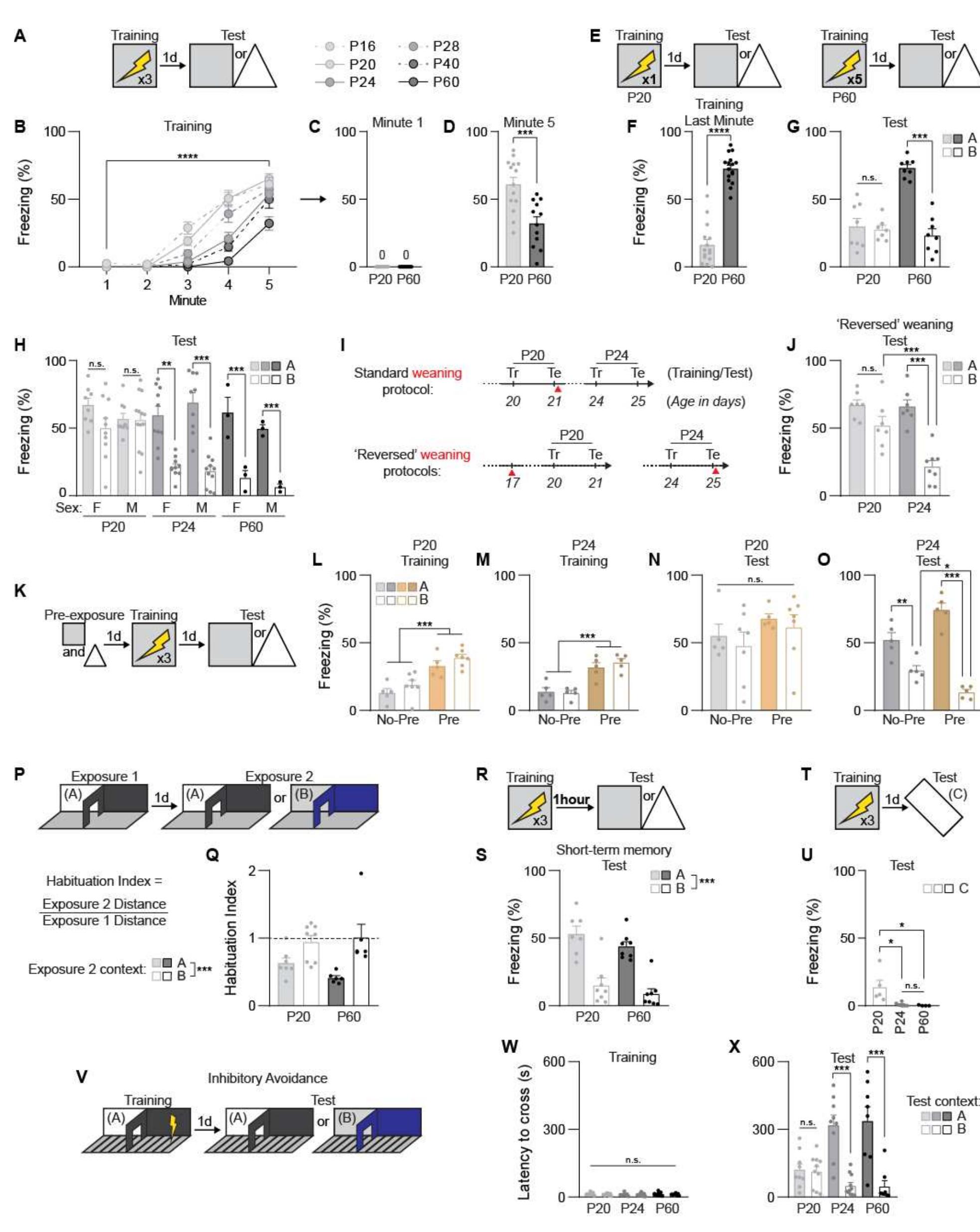 (PDF) A shift in the mechanisms controlling hippocampal engram ...