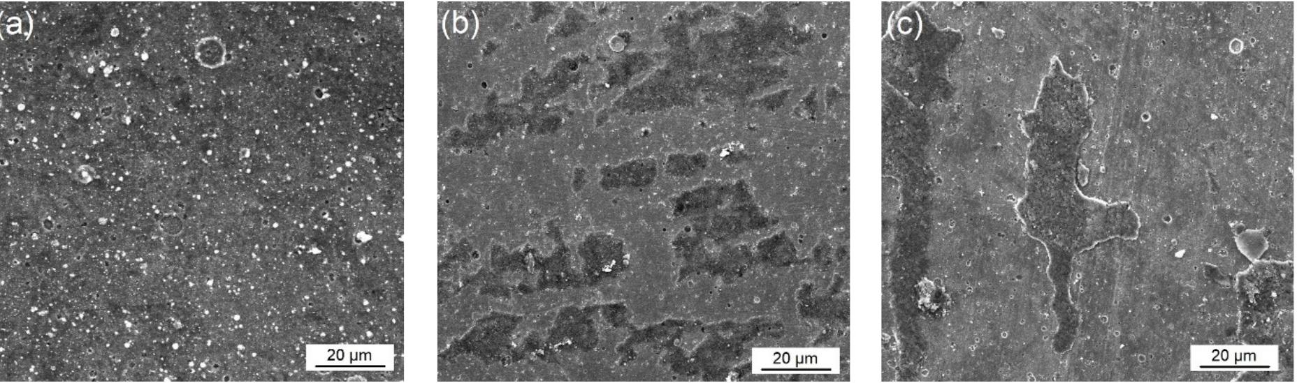 Sem images of the worn surface of the nitrided and coated