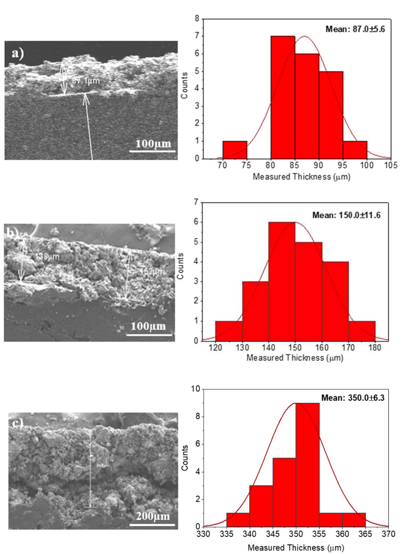 Sem images of cross-section and histograms showing the