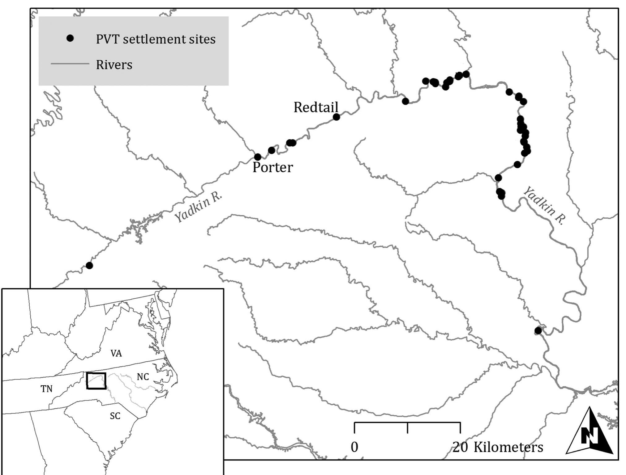 Radiocarbon dates place the occupation of Redtail (31Yd173) between 1285 and 1415 CE (Jones 2018, 35). Excavations at Redtail identified a housefloor, a cluster of shallow pit features, and an area of higher arti- fact density between this area of pit features and the housefloor (Jones 2018). Each area was sampled exten- sively, providing what we believe to be an accurate rep- resentation of the range of activities performed at the site. Two additional artifact clusters located 50 and 00 m to the east of this main area of the site contained lithics and pottery but no discernable features. We did not include the small number of points (fewer than 0) from these clusters in our analysis because they are undated. For Porter (31Wk6), radiocarbon dates place site occupation between 1400-1600 CE (Woodall, 999). Like Redtail, several seasons of excavations pro- duced artifacts from across many contexts. Woodall (2009) estimated that he and students excavated approximately 80% of the remaining intact subsurface site components. While they did not define areas within the site as we did at Redtail, given the large proportion   Figure 3. Piedmont Siouan (PVT) settlement sites in the upper Yadkin River valley.  Both the Redtail and Porter sites are single component  settlement sites located in the Upper Great Bend area ant the wnner Vadbkin River vwallew (Riacure 2)  Both the Redtail and Porter sites are single component 