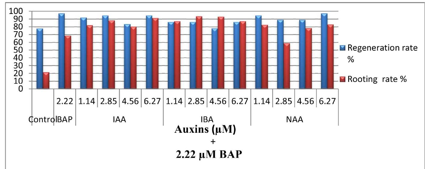 (PDF) Efficient Plant Regeneration from Explants of Compact Oregano ...