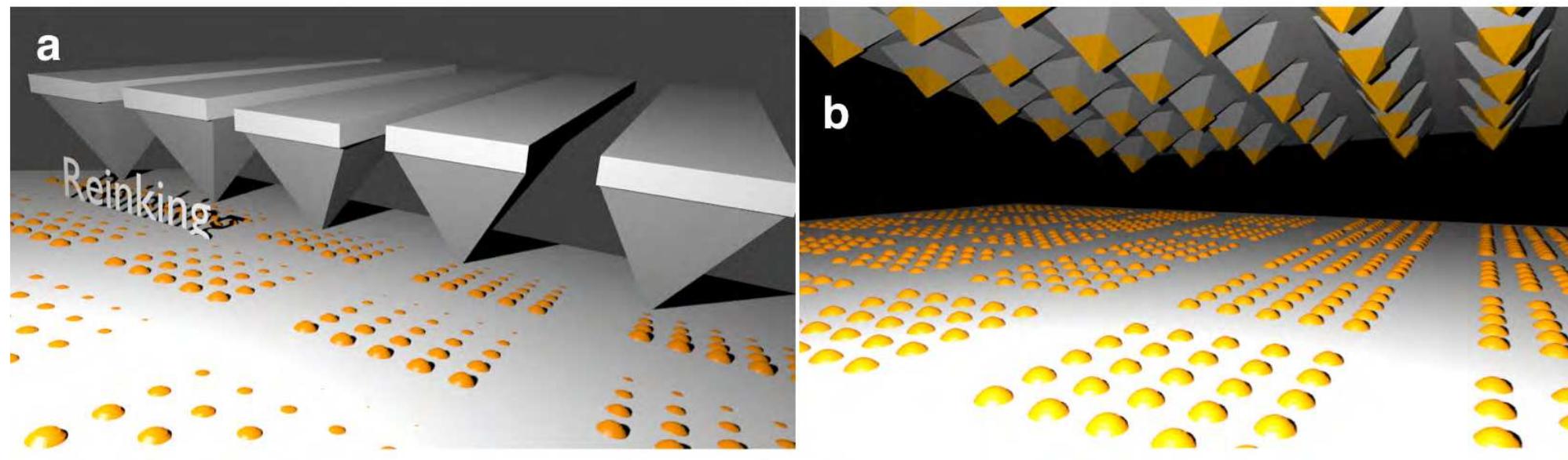 (PDF) Patterning of Quantum Dots by Dip-Pen and Polymer Pen Nanolithography