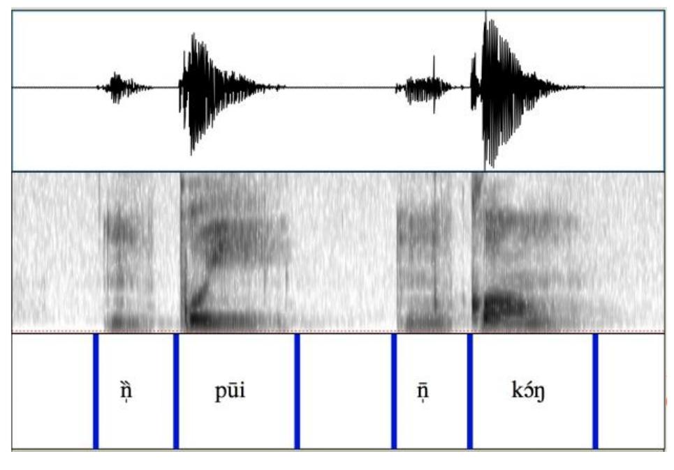 (PDF) Liangmai phonology: An overview