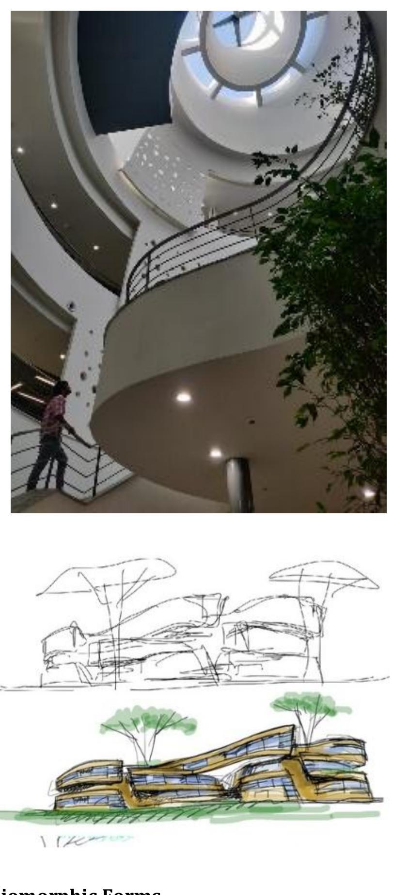 Biogeometry In Buildings Figure 24 - Application of Biophilic Design in Architecture