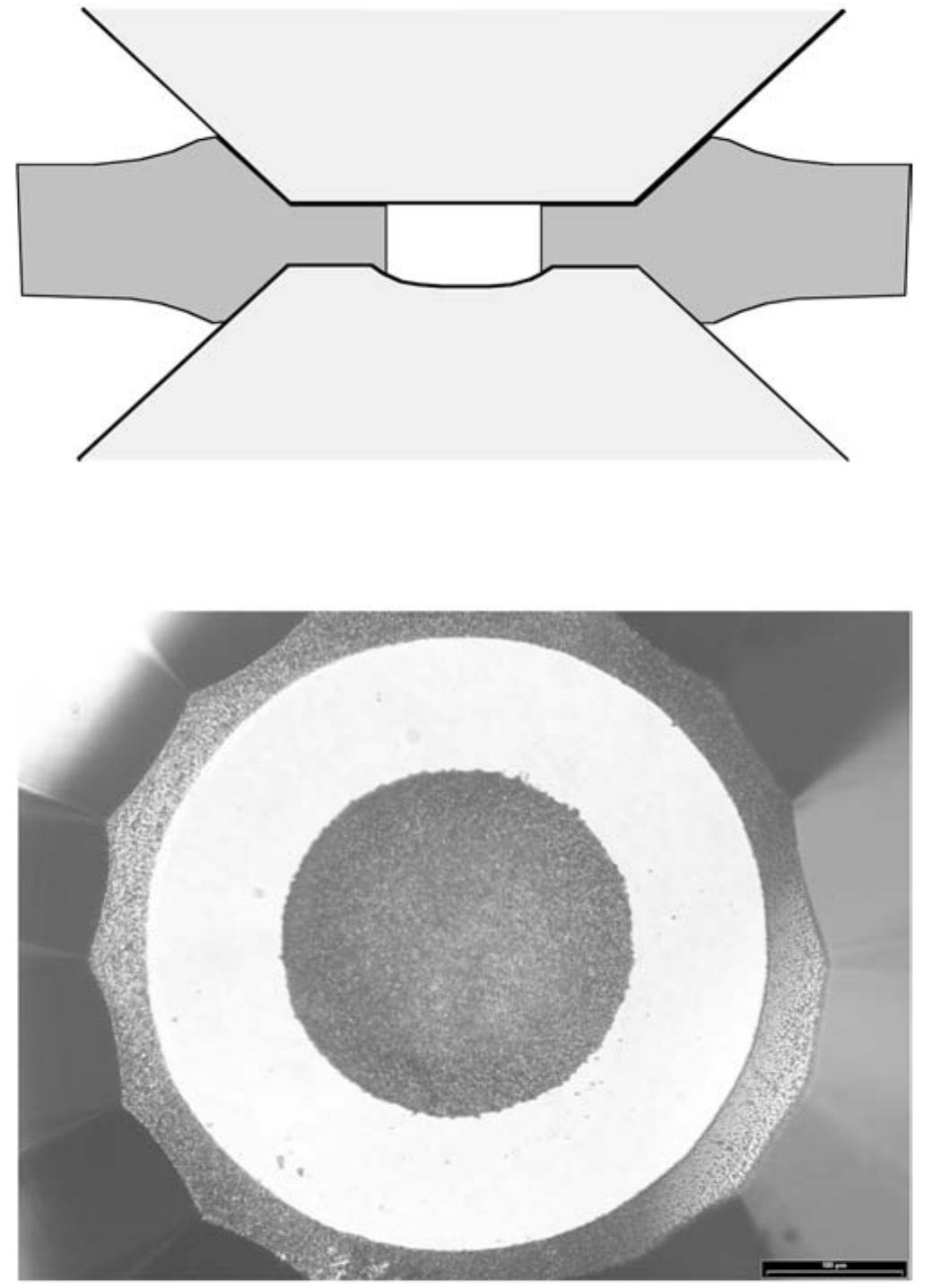 (PDF) New anvil designs in diamond-cells
