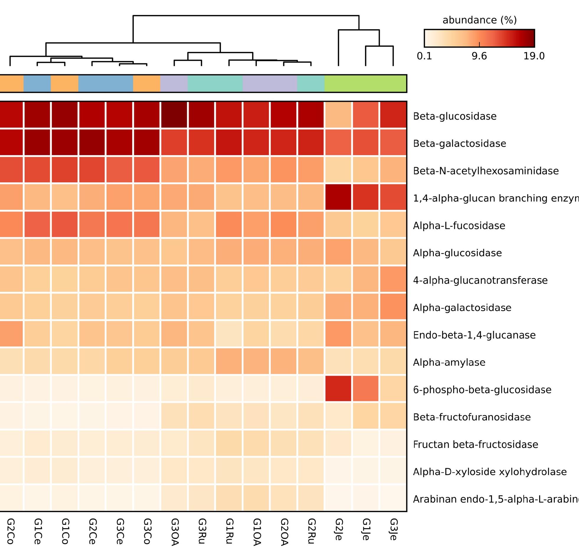 Heatmap of the 15 most abundant bacterial ghs predicted