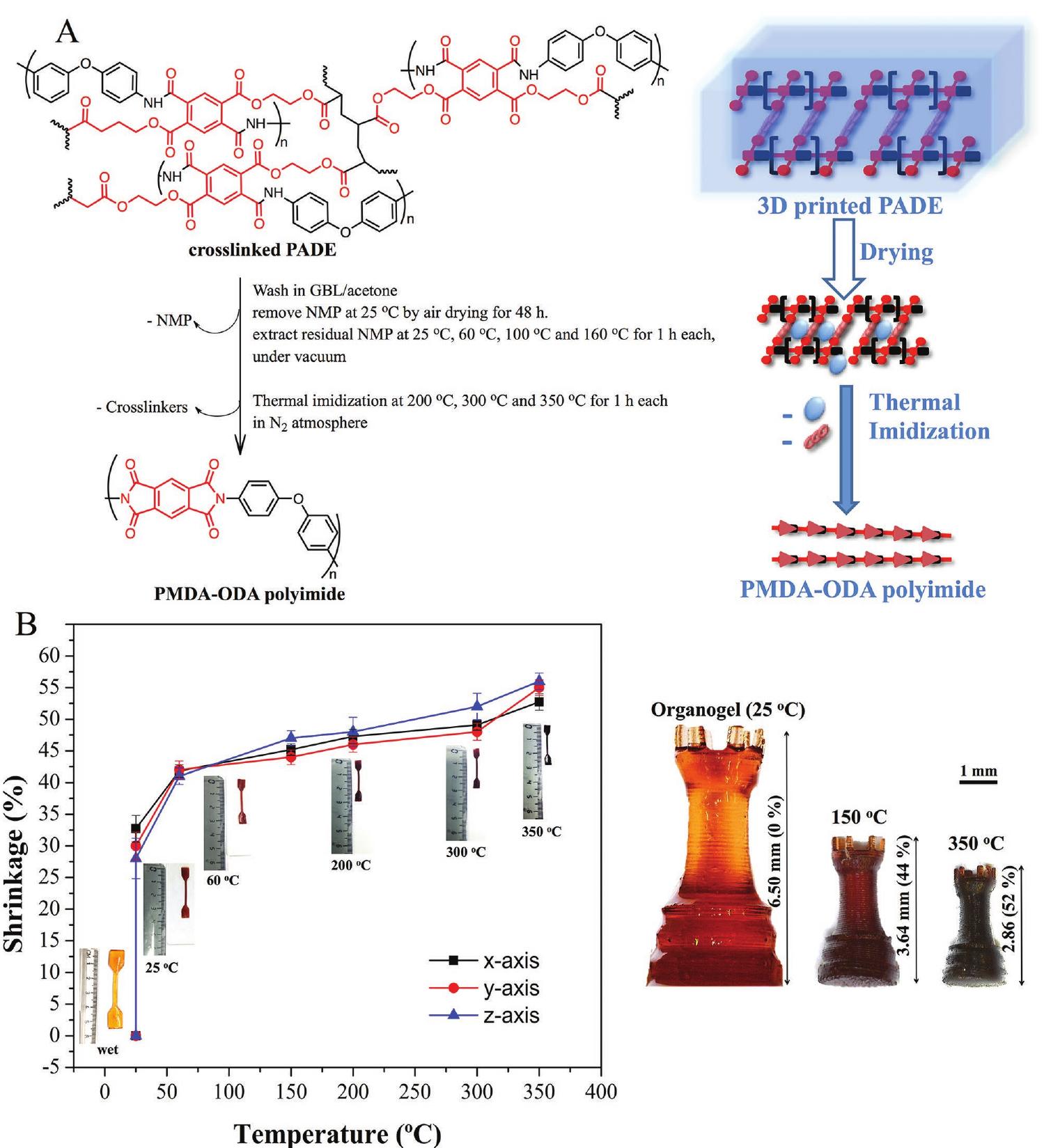 Figure 2. A) Postprinting process of 3D-printed structure to obtain thermoplastic, engineering PMDA-ODA polyimide. Molecular scheme and repre- sentation of the postprinting process steps to obtain PMDA-ODA. The procedure entailed removal of the solvent (NMP), followed by thermal imidiza- tion in steps, up to 350 °C to obtain 3D structures of PMDA-ODA polyimide. B) Dimensional shrinkage (%) along the x, y, and z axes as a function of postprocessing temperature. The value for shrinkage (%) at a particular temperature is the ratio of dimensional change along one axis compared to the solvated 3D-printed tensile coupon. The shrinkage is independent of the 3D object shape and size. Images of 3D-printed tensile specimens heated at different temperatures are included. Anisotropic 3D-printed structures also exhibit isotropic shrinkage when thermally imidized after solvent removal. The observed 52% isotropic shrinkage upon complete imidization is independent of the 3D object shape and size. Additionally, shrinkage values and imidization content at imidization isotherms ranging from 30 to 180 min did not affect mechanical properties or shrinkage values. 