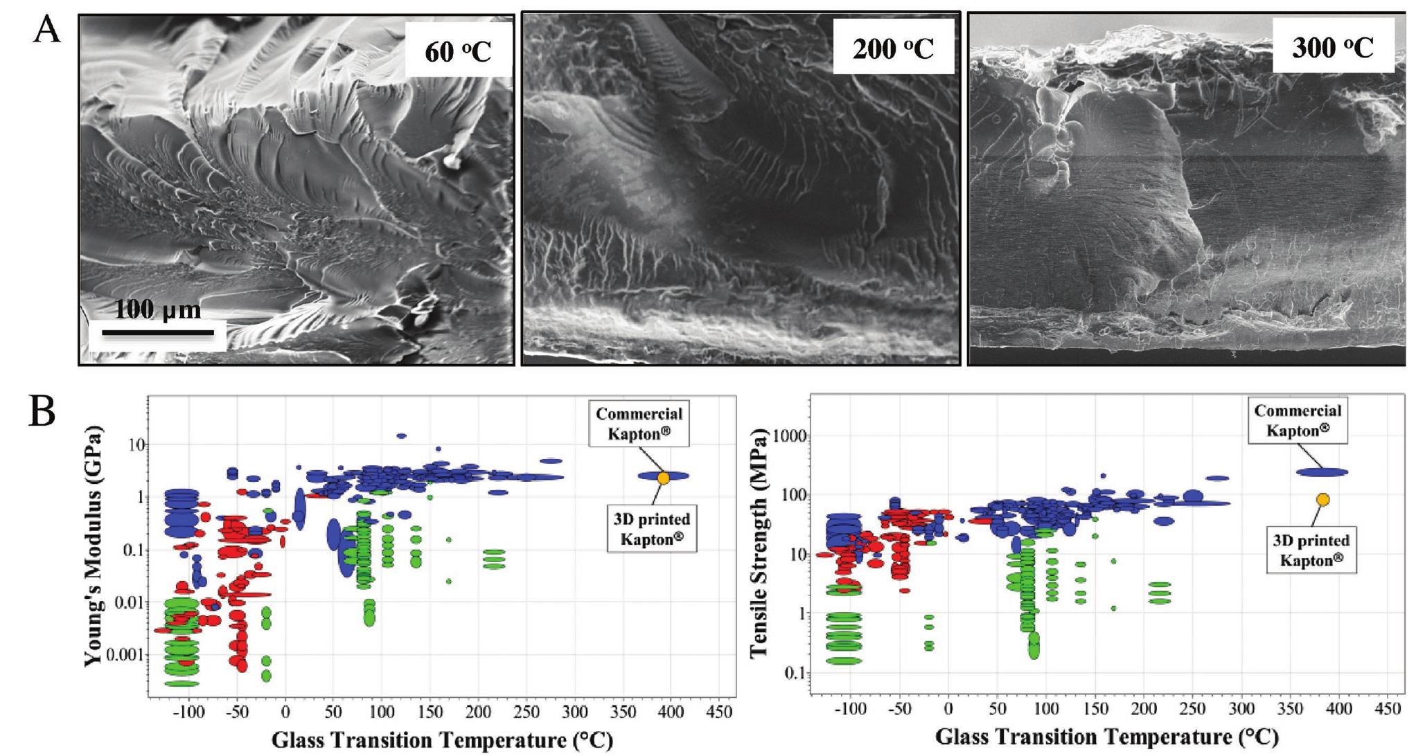 Figure 3. A) SEM of cross sections of 3D parts fractured in liquid nitrogen. The scale bar for all microscopy images is the same, and is shown in the lef image. Cross sections were imaged after thermally postprocessing the samples up to 60, 200, and 300 °C for 1 h each. Layers are not visible. Surfac features such as ridges and troughs that run the entire length of the cross section are also an indirect evidence for the absence of layers. B) Ashb‘ plots of thermoplastics with Young’s modulus and tensile strength as a function of glass transition temperature reveal the mechanical properties o plastics (blue), elastomeric thermoplastics (red), and thermoplastic foams (green). Typical 3D-printed polymers exhibit mechanical properties tha lie within the colored regions. Commercial Kapton is also included in the Ashby plot for comparison.2"] 