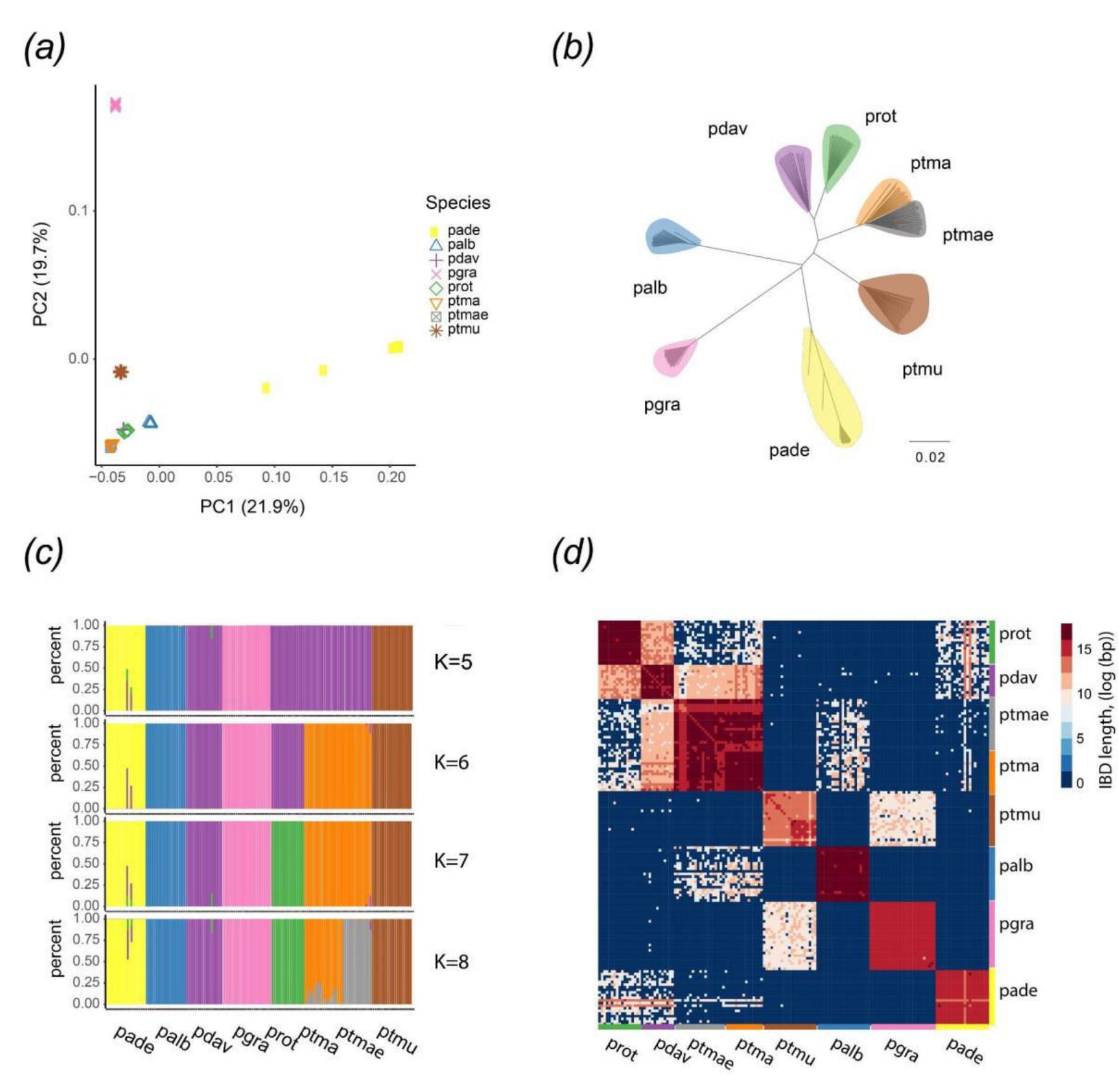 (PDF) Drivers of genomic landscapes of differentiation ...