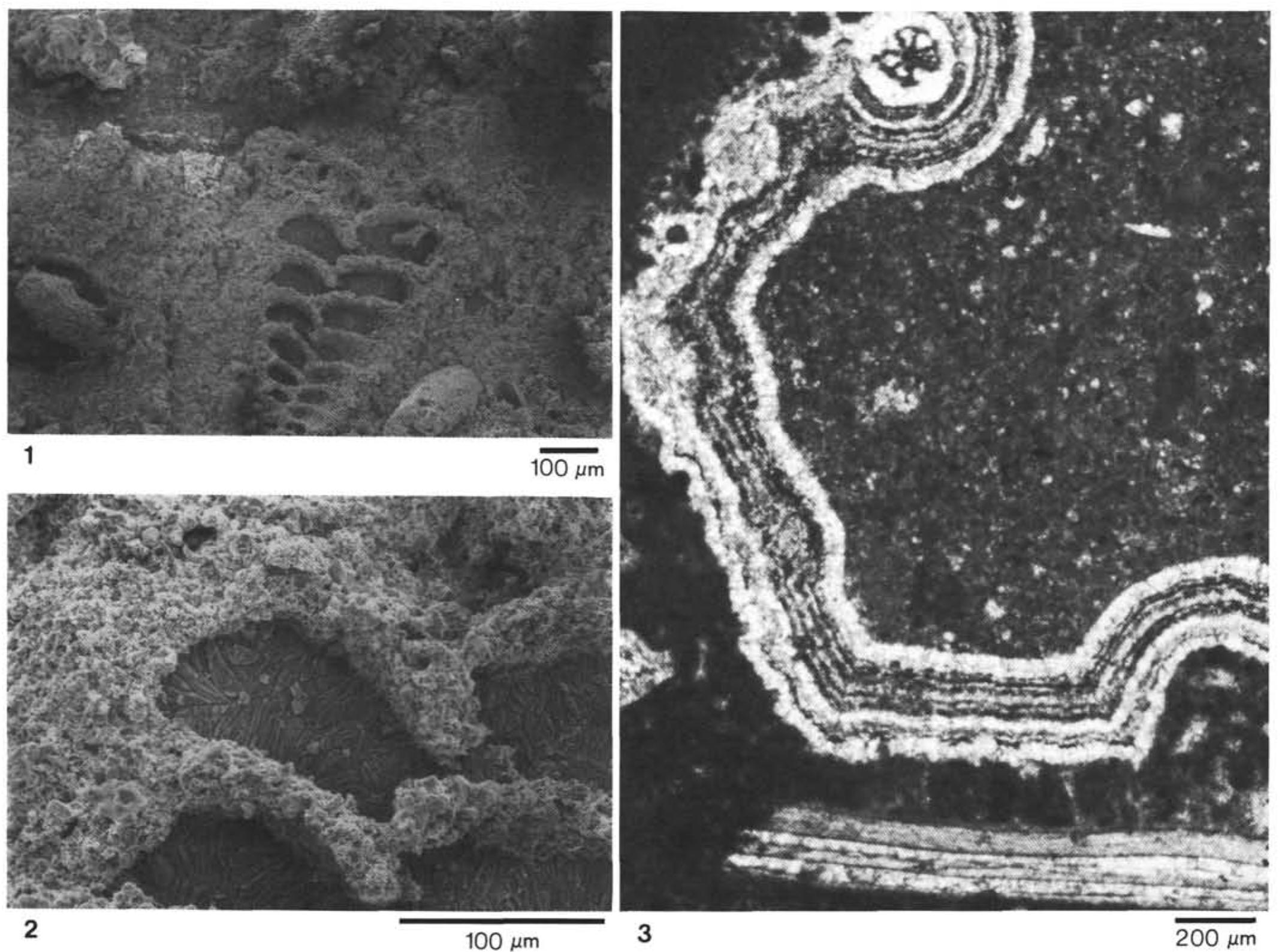 Figure 3 - from Deep-Marine Origin of Equant Spar Cements in