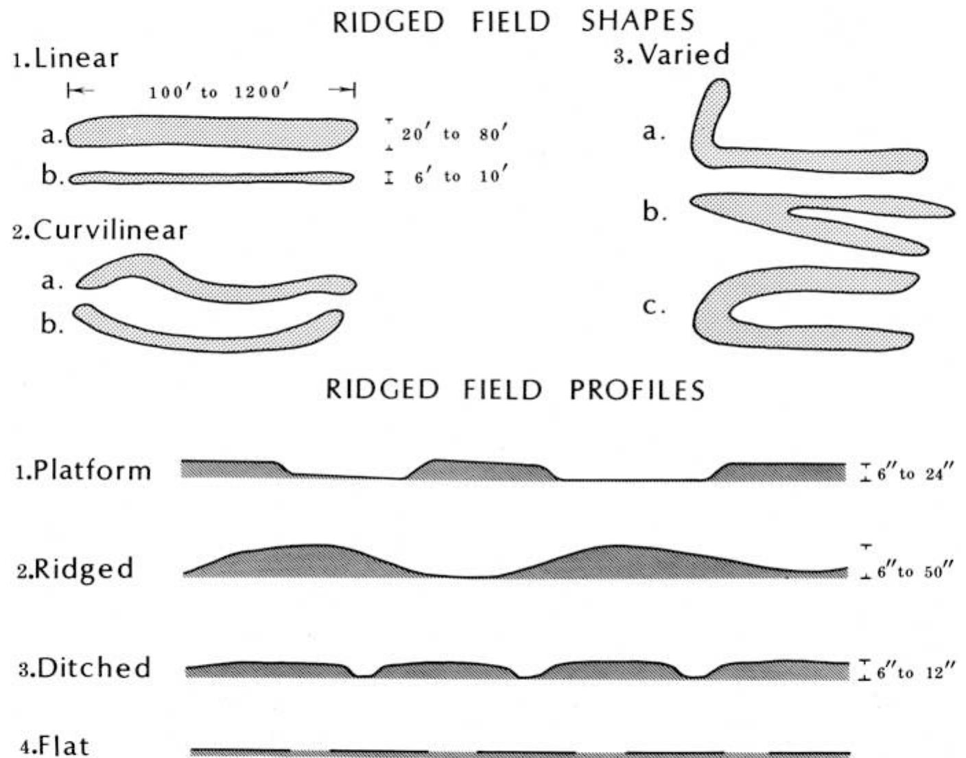 Shape Angled Ridge Figure 8 - from Agricultural Landforms Introducer: Clark L.