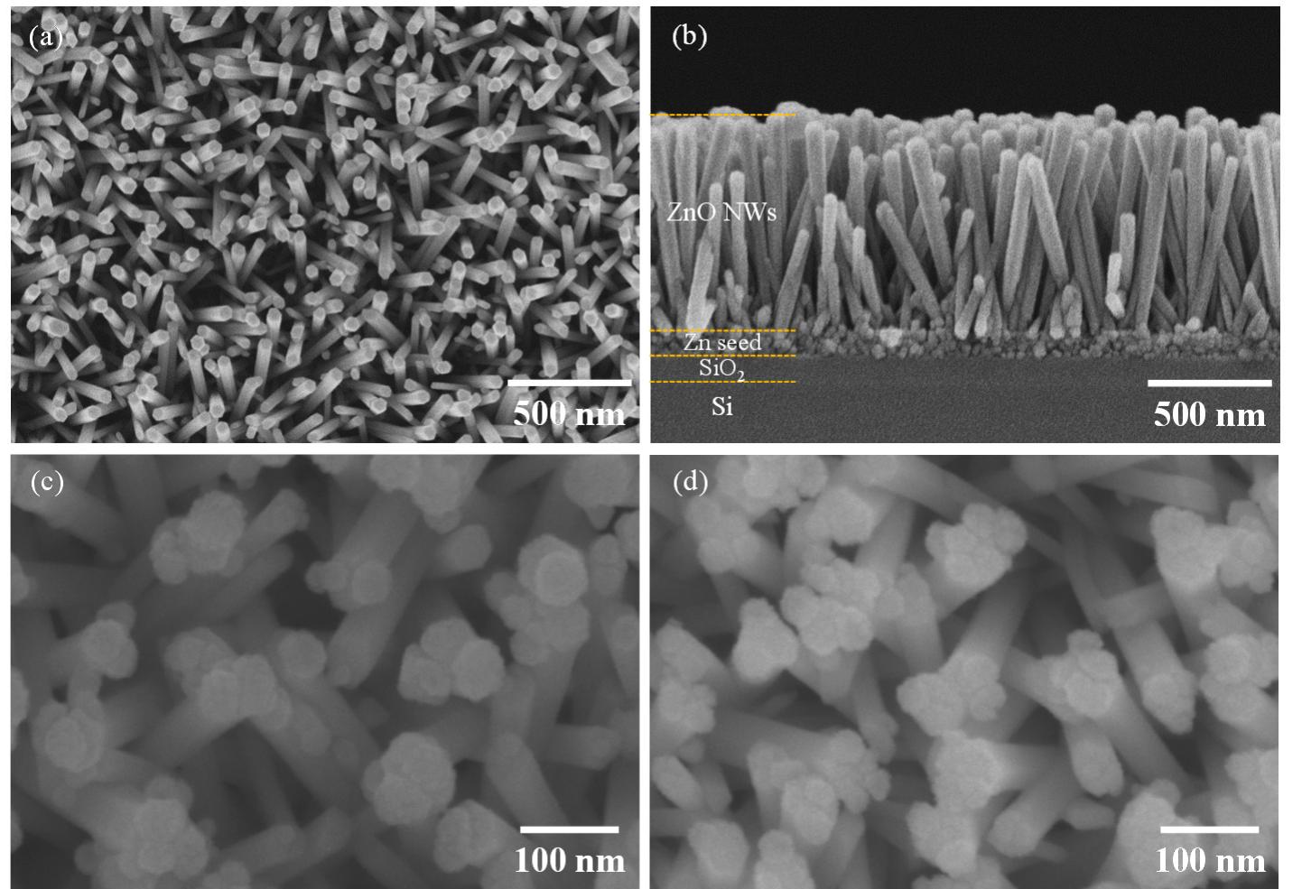 Sem images of (a) top view and (b) cross-sectional view of
