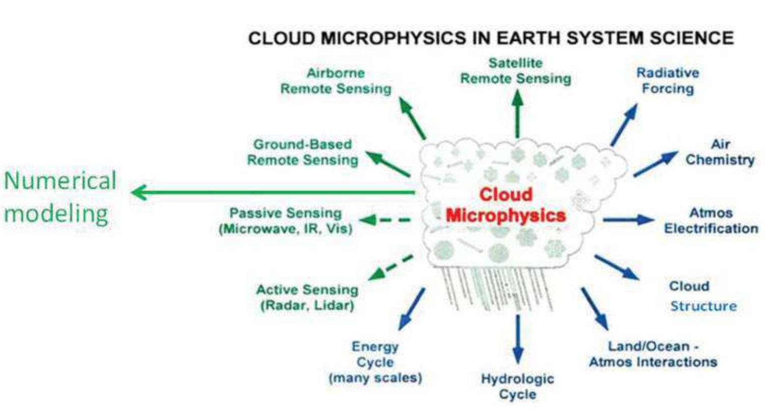 (PDF) Physical Processes in Clouds and Cloud Modeling