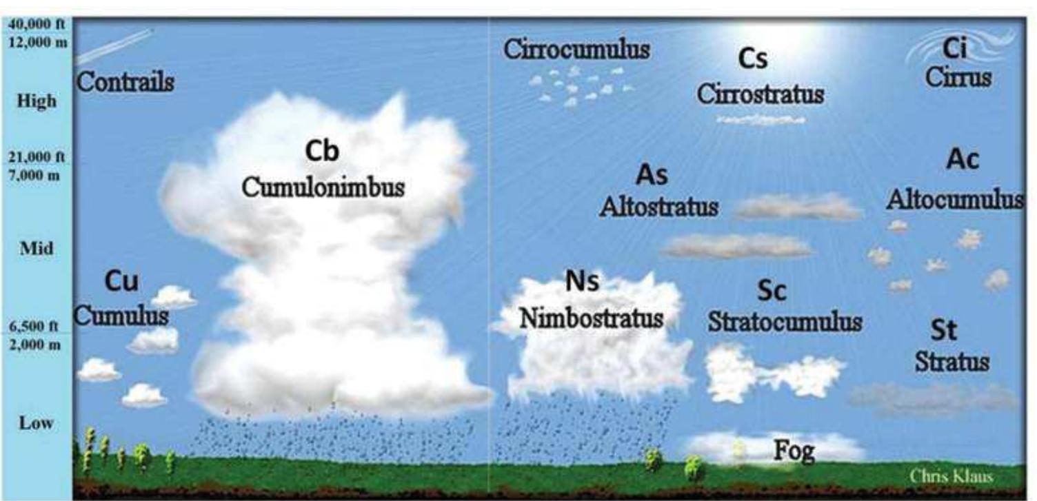 (PDF) Physical Processes in Clouds and Cloud Modeling