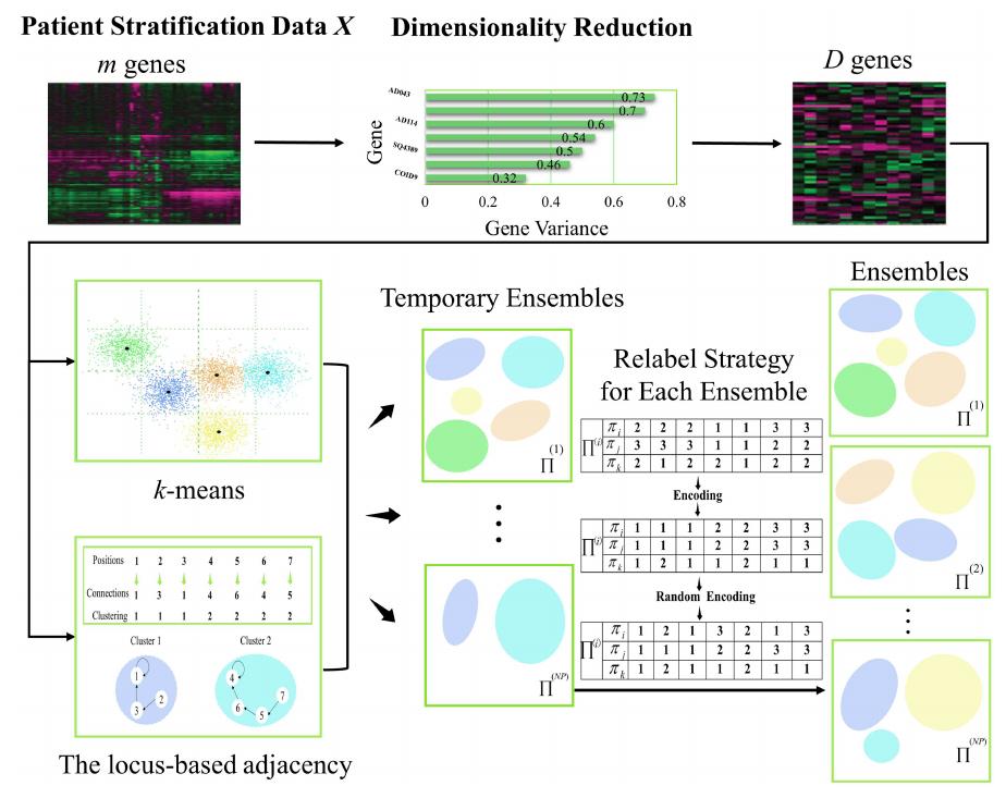 (PDF) Evolutionary Multiobjective Clustering Algorithms With Ensemble ...