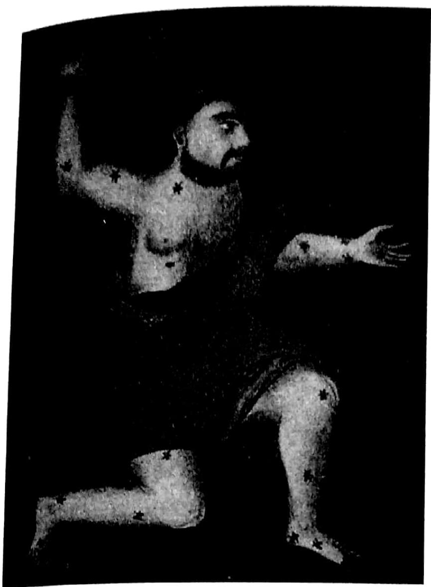 Resim 1: Casi (Herkiil), Terciime-i ‘Ikdii’l-ciiman fi tarih-i ehli’z-zaman, SK., L.1.318, 21a  Resim 2: Casi (Herkiil), 1131 tarihli El-Sifi'nin Suvar el- kevakth es-sabita’s1, TSMK., A.3493, y.19a 