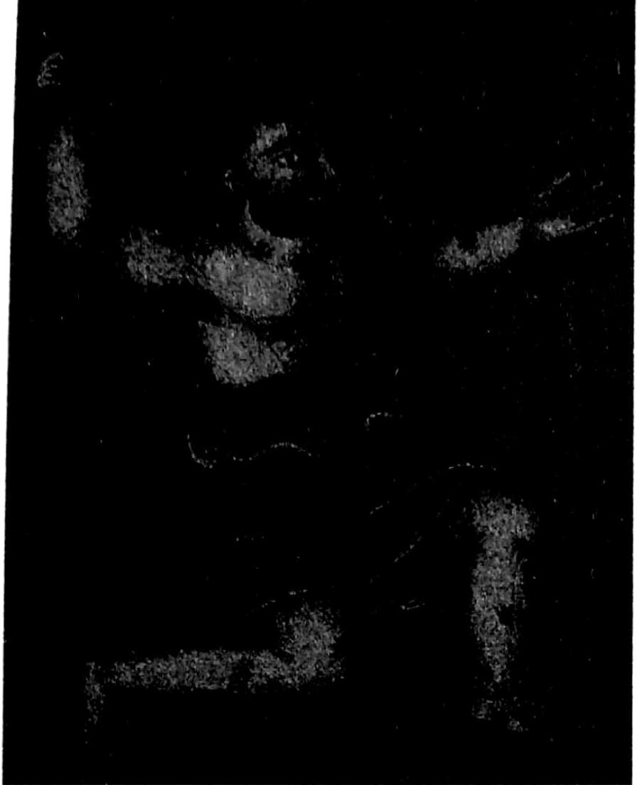 Resim 5: Casi (Herkiil), Terciime-i ‘Ikdii’l-ctiman fi tarth-i ehli’z-zaman, TSMK., B.274, 20a 