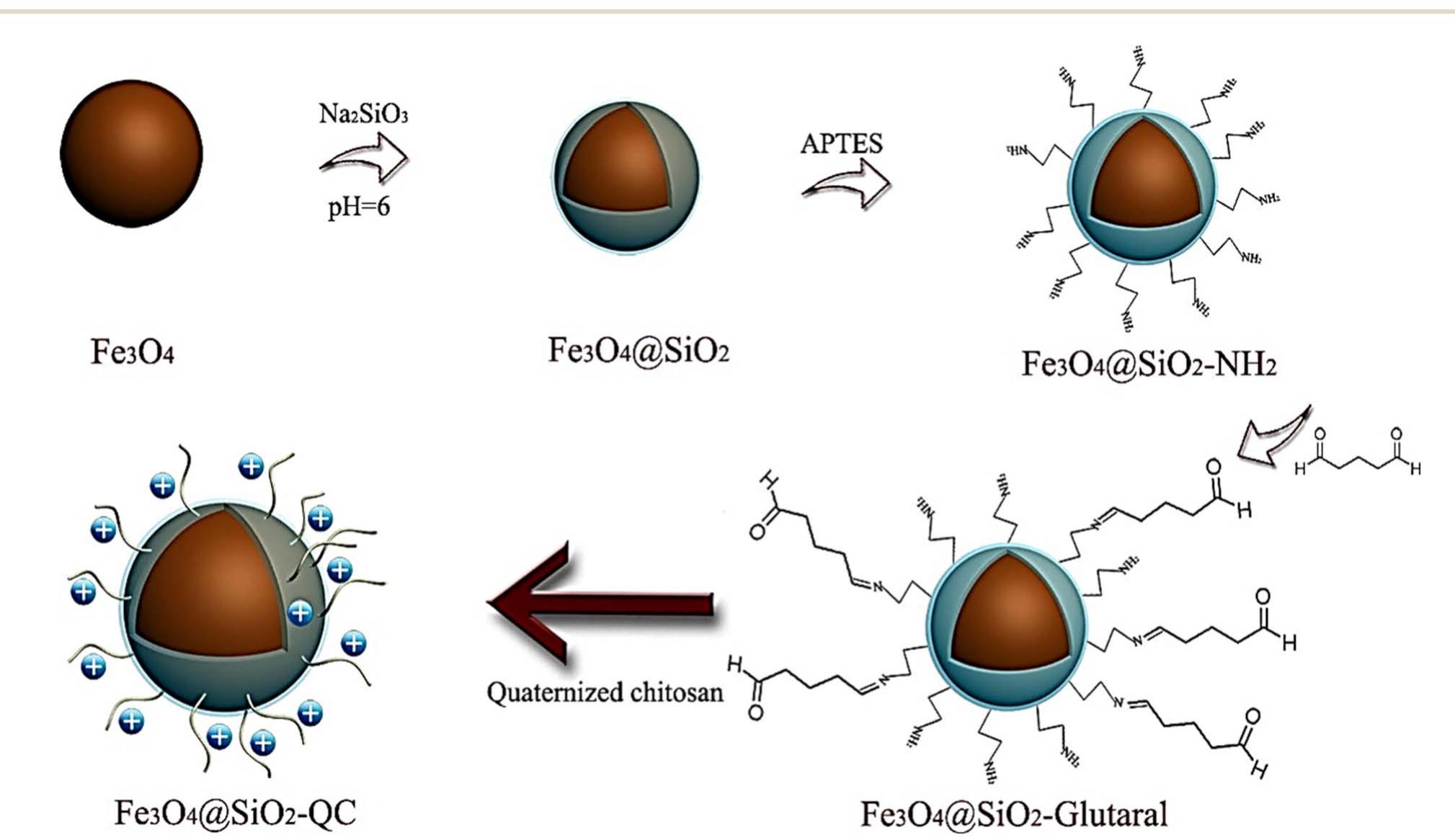 (PDF) Natural-based coagulants/flocculants as sustainable market-valued ...